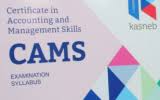 CAMS Level I, Principles of Entrepreneurship and Management, Introduction to Law and Ethics, Fundamental ICT Skills, Fundamentals of Business Mathematics, CAMS Level II, Foundations of Accounting and Auditing, Elements of Public Finance and Administration, Principles of Marketing and Communication