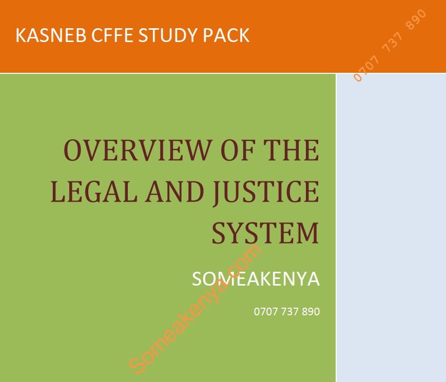 CFFE Overview of The Legal and Justice System