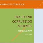 Fraud and Corruption Schemes notes
