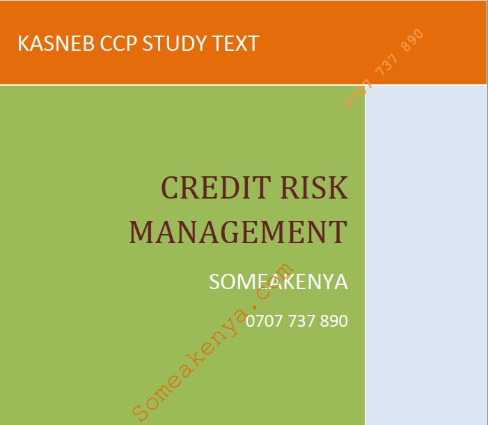 Credit Risk Management notes kasneb